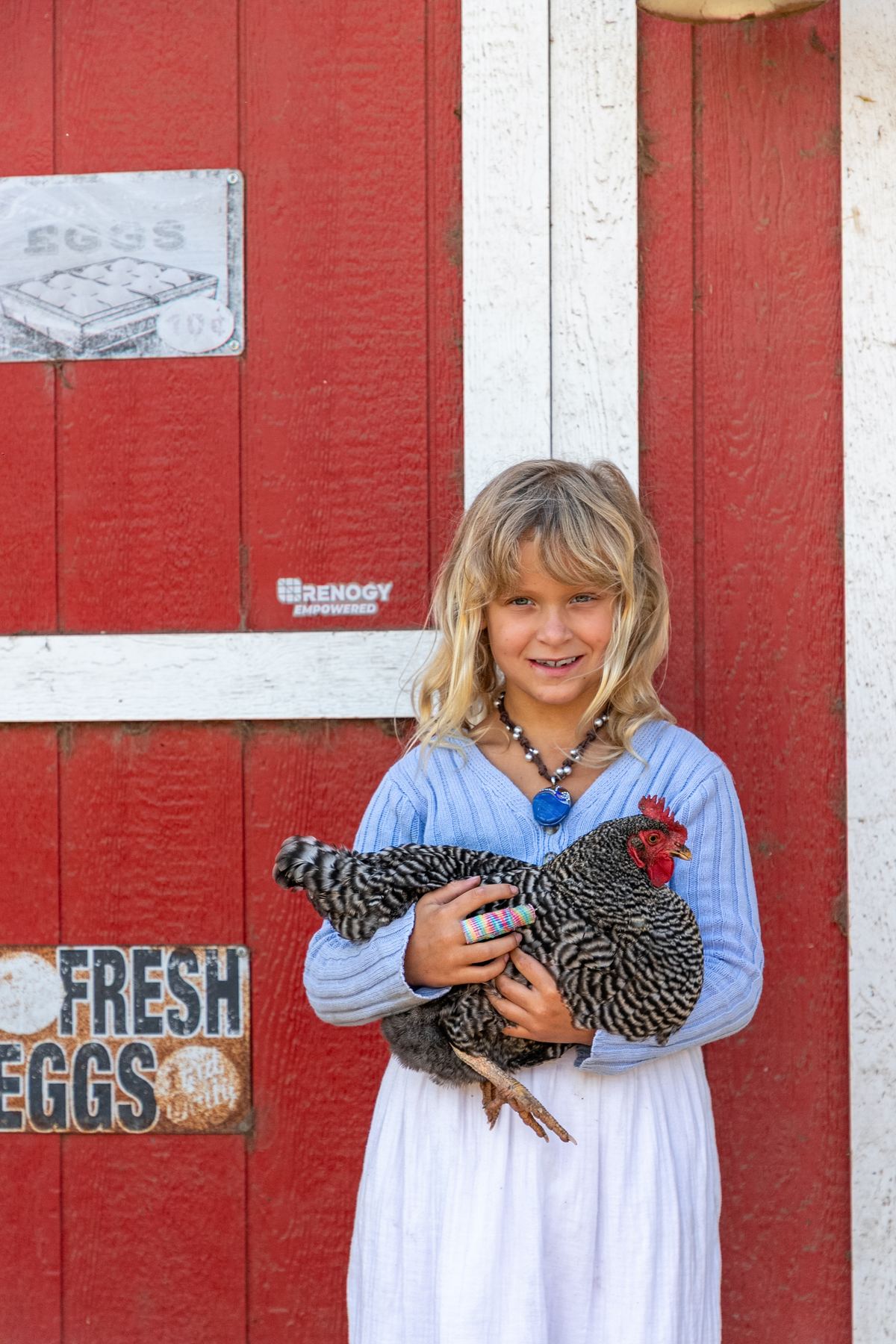A girl holding a barred rock hen in front of the red coop door and its FRESH EGGS sign.