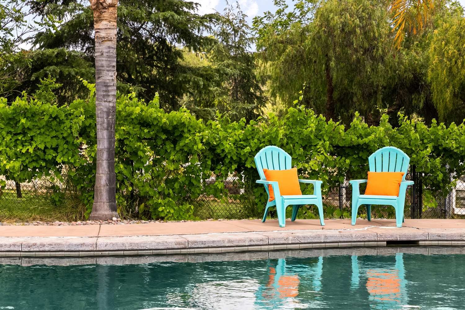 Two chairs at the poolside with the vineyard growing along the fence line.